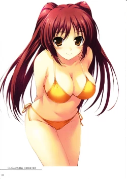 Page 32 of Tomose Shunsaku Jisen Illust Shuu