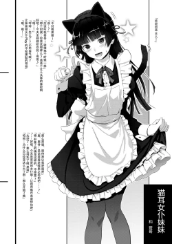 Page 16 of Kuroneko Lion Heart