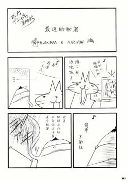 Page 24 of Gochuumon wa Pants Desu ka?