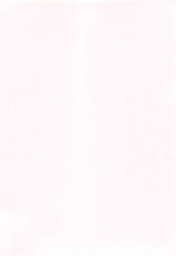 Page 216 of PROGRAM RING