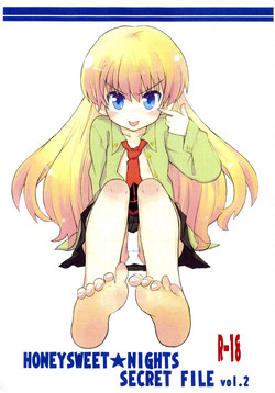 Download HONEYSWEET★NIGHTS SECRET FILE vol.2