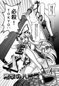 Page 8 of Hakurei☆Jinja Inkou♀Soudou