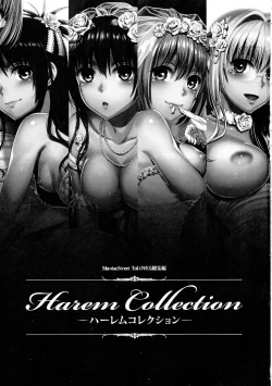 Page 3 of Harem Collection