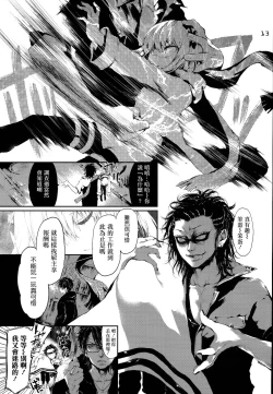 Page 13 of PL/RAY USA