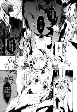 Page 15 of PL/RAY USA