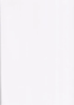 Page 2 of D.L. action 17