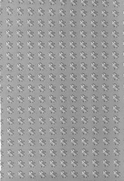 Page 15 of xx Senpai, Motto!