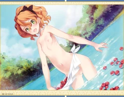 Page 206 of Eiyuu＊Senki GOLD Visual Fanbook