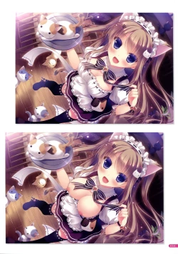 Page 47 of MOEOH Selection Flower Flower Yukie Gashuu