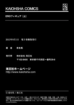 Page 252 of ERO Figure Jou