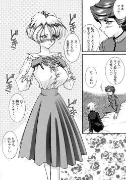 Page 17 of Tekkou Muteki Maria