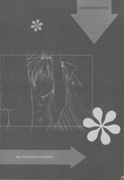 Page 29 of SELFPORTRAIT 2008