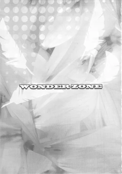 Page 2 of WONDER ZONE