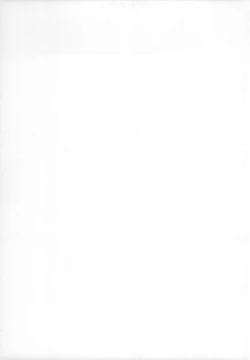 Page 53 of no_text To translatorSolo Hunter no Seitai 4 The third part