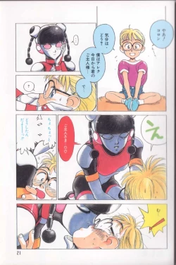 Page 20 of Shinkaida Tetsuyarou Daihyakka