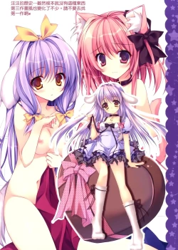 Page 21 of Imouto wa Onii no Banken