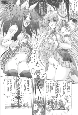 Page 23 of Tamashiro