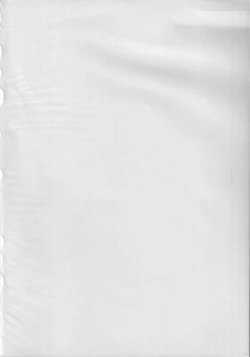 Page 4 of FAVORITE VISIONS 3