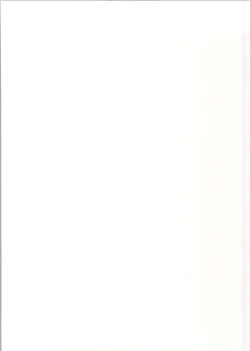 Page 2 of Bismarck Yasen Kaizou