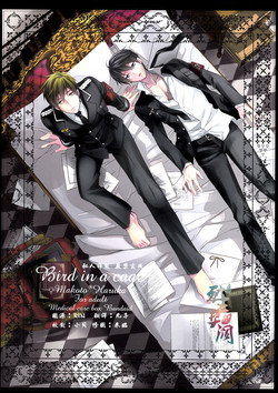 Download Bird in a cage