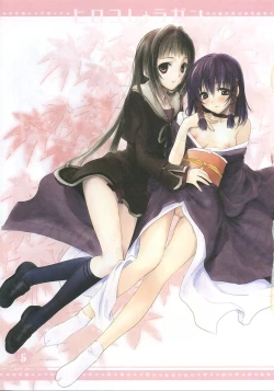 Page 4 of Hirocolle + Lagann