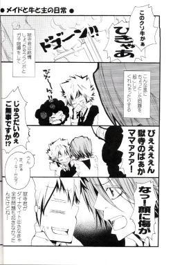 Page 13 of Tadashii Maid no Susume