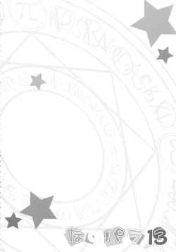 Page 4 of Nano Para 13