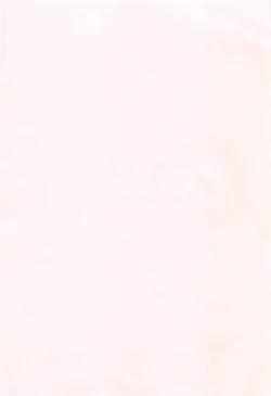 Page 199 of Jakuniku Kyousyoku