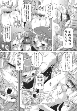 Page 17 of Kanzen Nenshou 13
