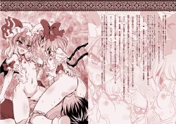 Page 2 of Omakemuke Koumakan