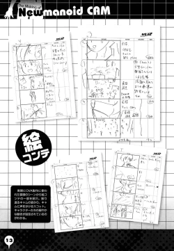 Page 249 of Newmanoid CAM Vol. 2 Shokai Genteiban