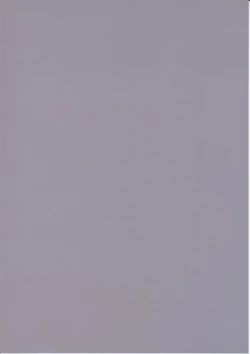 Page 4 of THE PLEASURES OF PRINCESSES