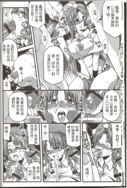 Page 13 of Touhou Innyuuen Sono Ni