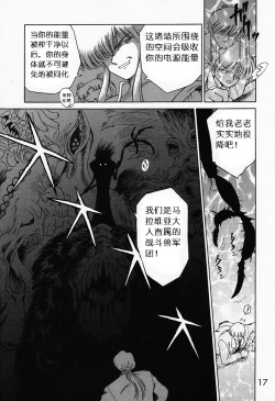 Page 16 of Submission Sailormoon