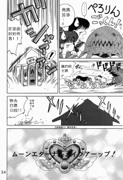 Page 23 of Submission Sailormoon