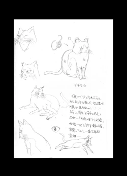 Page 42 of Chika Kakutougi Boxing Shoujo Boko!! 2