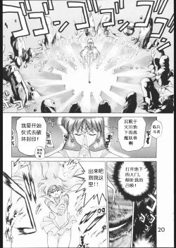 Page 19 of SUBMISSION MARS