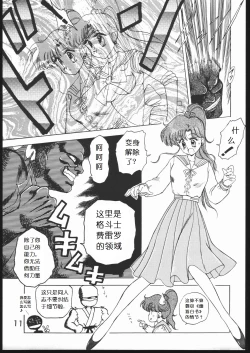 Page 13 of Submission Jupiter Plus