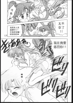 Page 19 of Submission Jupiter Plus