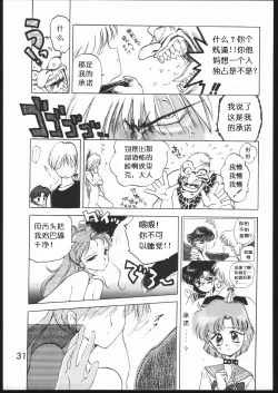 Page 33 of Submission Jupiter Plus