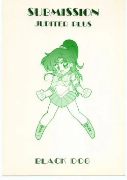 Page 45 of Submission Jupiter Plus