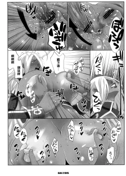 Page 21 of GarnetSama Ikusei DS