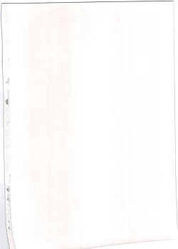 Page 2 of Homura Interrogation