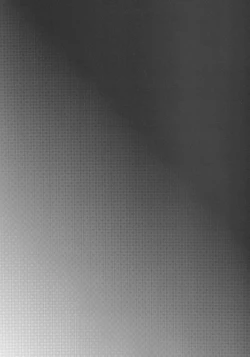 Page 31 of Nikubenki-kun no Ichinichi