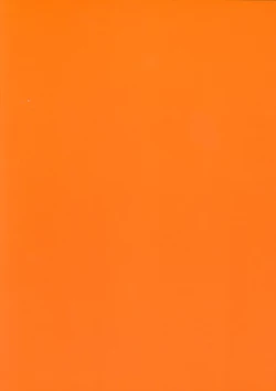 Page 21 of Docchi mo Yome ni Hoshii