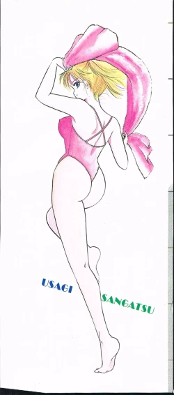 Page 2 of Himawarikko Nikki