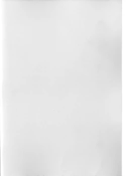 Page 2 of LEMON SPATS