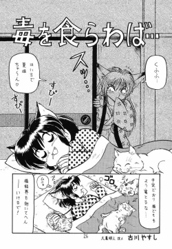 Page 25 of Card Captor Sakura + Zoukyou Kaiteiban