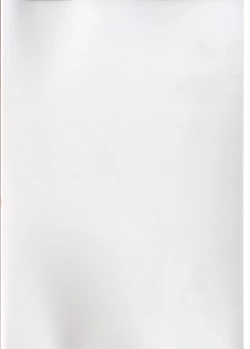 Page 2 of GyanFumi Try