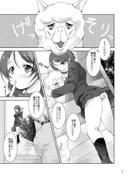 Page 3 of Alpakan! Junbigou